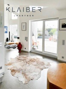  Extravagantes  Wohn- und Gesch�ftshaus,mit Show-Rooms 210 m� Wohnen und Arbeiten in ruhiger Lage.