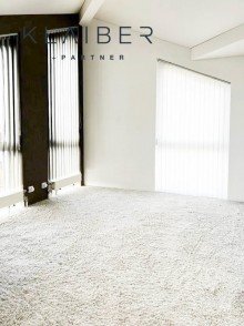  Extravagantes  Wohn- und Gesch�ftshaus,mit Show-Rooms 210 m� Wohnen und Arbeiten in ruhiger Lage.